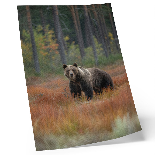 Poster decorativo Urso na floresta outonal: naturalidade e paz.