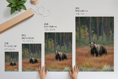 Poster decorativo Urso na floresta outonal: naturalidade e paz.