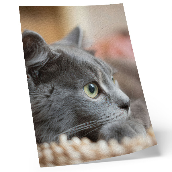 Arte de parede Gato cinza de olhos verdes, olhar de perto