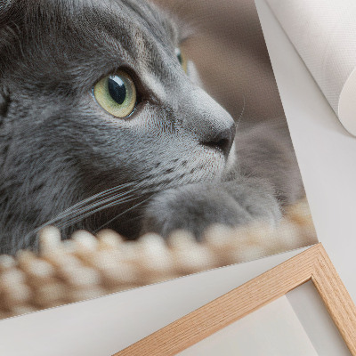 Arte de parede Gato cinza de olhos verdes, olhar de perto