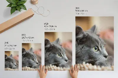 Arte de parede gato cinza de olhos verdes em close