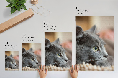 Arte de parede Gato cinza de olhos verdes, olhar de perto