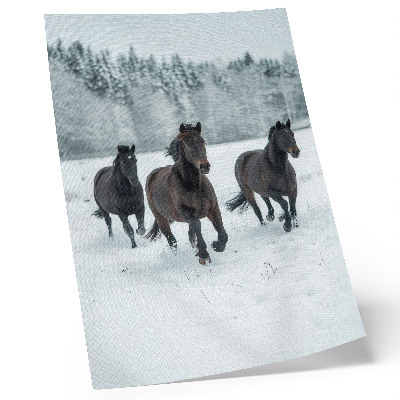 Poster para cozinha Cavalos negros em movimento contra um fundo nevado.