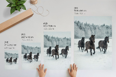 Poster para cozinha Cavalos negros em movimento contra um fundo nevado.