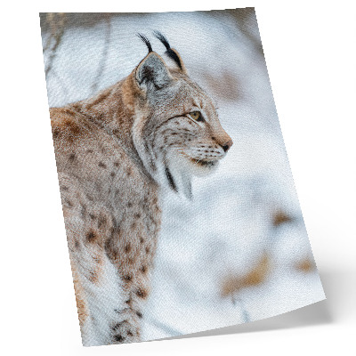 Poster decorativo Rysy no inverno, bela natureza, cores naturais, harmonia