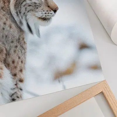 Pôster decorativo Rysy no inverno com bela natureza, cores naturais e harmonia