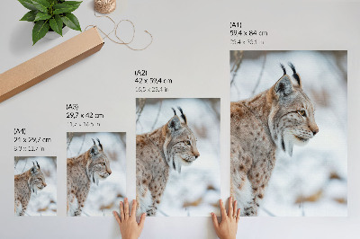Poster decorativo Rysy no inverno, bela natureza, cores naturais, harmonia