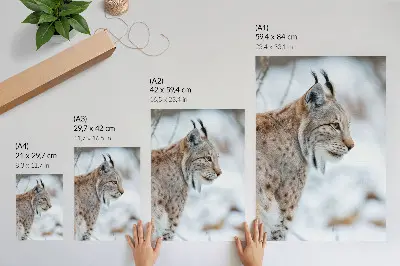 Pôster decorativo Rysy no inverno com bela natureza, cores naturais e harmonia