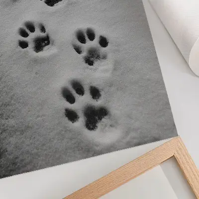 Poster para cozinha pegadas na neve branca com um toque de mistério