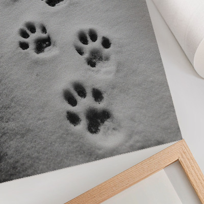 Poster para cozinha Pegadas na neve branca: um toque de mistério