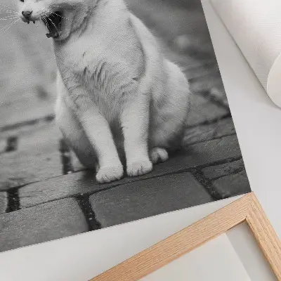 Impressão em tela gato adorável em rua de paralelepípedos com estética preto e branco