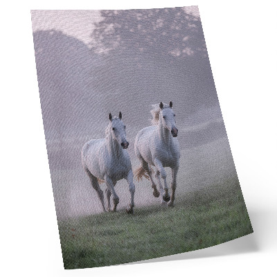 Poster decorativo Cavalos brancos, névoa matinal, espaço, natureza