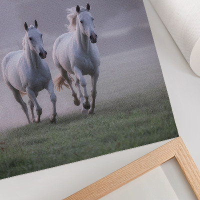 Poster decorativo Cavalos brancos, névoa matinal, espaço, natureza