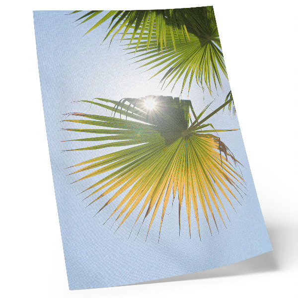 Impressão em tela Folhas de palmeira em fundo azul com luz solar
