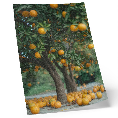 Poster decorativo Laranjas suculentas em uma árvore em um pomar verdejante.