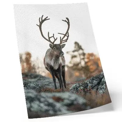 Poster decorativo veados em cenário de outono com rochas e árvores
