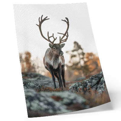 Poster decorativo Veados em um cenário de outono com rochas e árvores ao fundo.