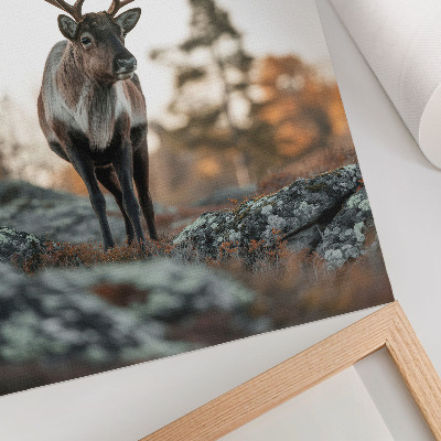 Poster decorativo Veados em um cenário de outono com rochas e árvores ao fundo.