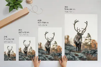 Poster decorativo veados em cenário de outono com rochas e árvores