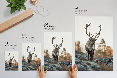Poster decorativo Veados em um cenário de outono com rochas e árvores ao fundo.