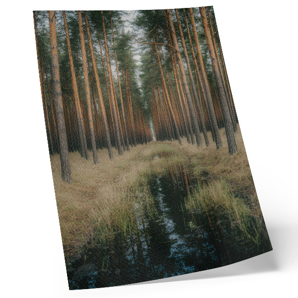 Poster decorativo Paisagem florestal simples, simetria de floresta alta