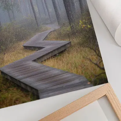 Poster para cozinha trilha de madeira entre as árvores na neblina