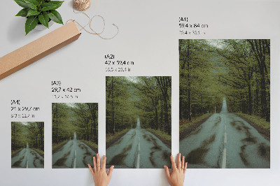 Poster decorativo Estrada na floresta, paz, verde, aventura, mistério