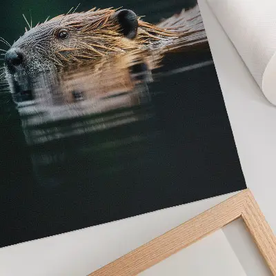 Poster decorativo castor na água com natureza pacífica e vida selvagem
