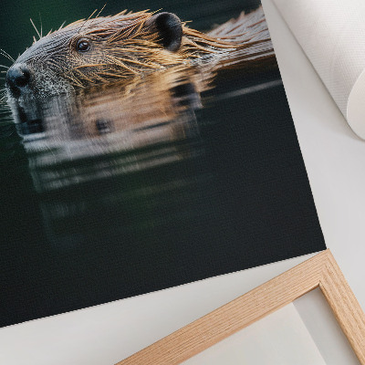 Poster decorativo Castor na água, natureza pacífica, vida selvagem