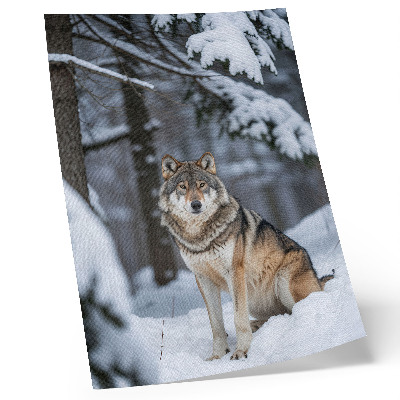 Poster decorativo Lobo na floresta de inverno, natureza, silêncio, elegância