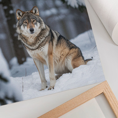 Poster decorativo Lobo na floresta de inverno, natureza, silêncio, elegância