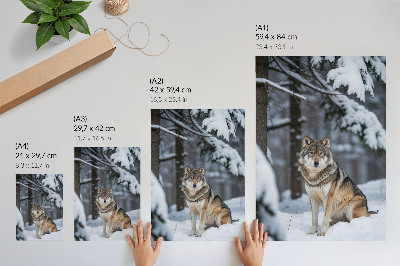 Poster decorativo Lobo na floresta de inverno, natureza, silêncio, elegância