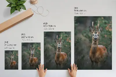Poster decorativo veados na floresta com fundo verde e temática de natureza e paz