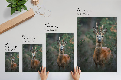 Poster decorativo Veados na floresta, fundo verde, paz, natureza.
