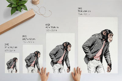 Arte de parede Chimpanzé estiloso com jaqueta estampada contrastante