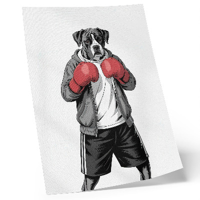 Poster para cozinha Luvas de boxe para cães da raça Boxer, estilo esportivo