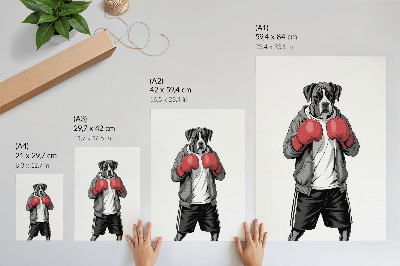 Poster para cozinha Luvas de boxe para cães da raça Boxer, estilo esportivo