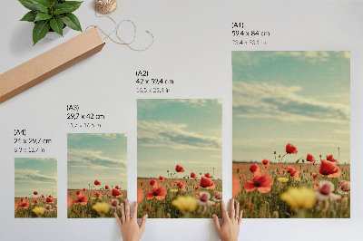 Poster para cozinha Um campo de papoulas sob um céu azul, elegância em tons pastel.