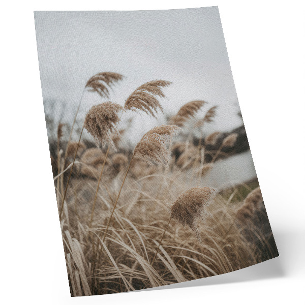 Impressão em tela Delicadas lâminas de grama em tons de marrom e cinza, numa atmosfera natural.