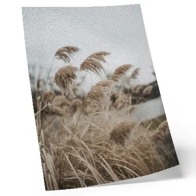 Impressão em tela delicadas lâminas de grama em tons de marrom e cinza, com atmosfera natural
