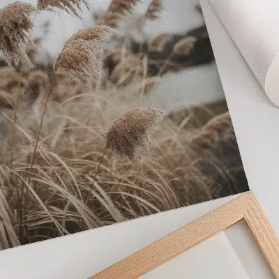 Impressão em tela delicadas lâminas de grama em tons de marrom e cinza, com atmosfera natural