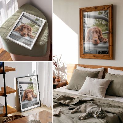 Poster para cozinha Cachorro marrom perto do veículo, árvores verdes
