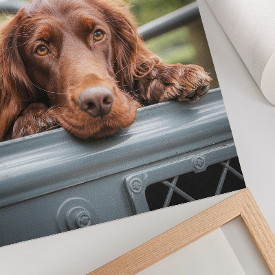 Poster para cozinha Cachorro marrom perto do veículo, árvores verdes