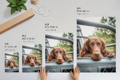 Poster para cozinha cachorro marrom perto de veículo com árvores verdes