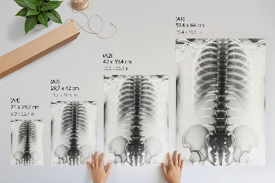 Poster para cozinha Esqueleto em preto e branco