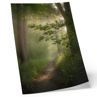 Arte de parede Folhas verdes, raio de luz, trilha na floresta