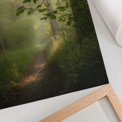 Arte de parede Folhas verdes, raio de luz, trilha na floresta