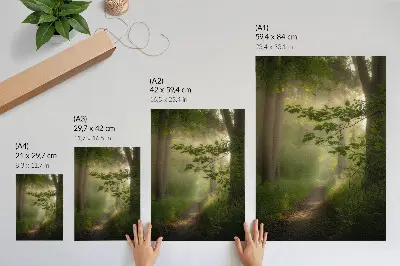 Arte de parede folhas verdes com raio de luz em trilha na floresta