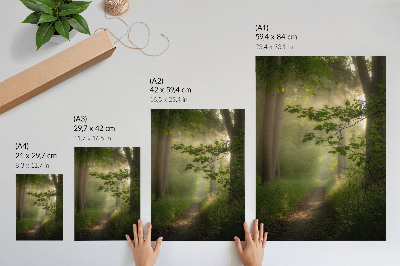 Arte de parede Folhas verdes, raio de luz, trilha na floresta