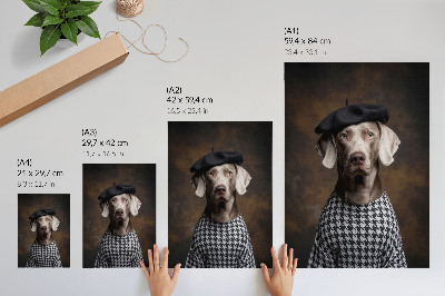 Poster decorativo Cachorro com boina e colete estampado elegante